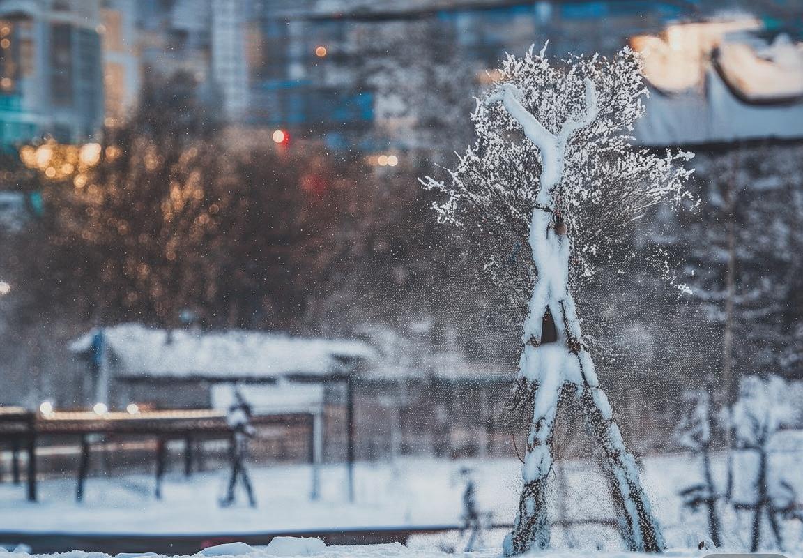 广厦VS马可波罗：激战篮球场，战术解析与未来展望(图3)