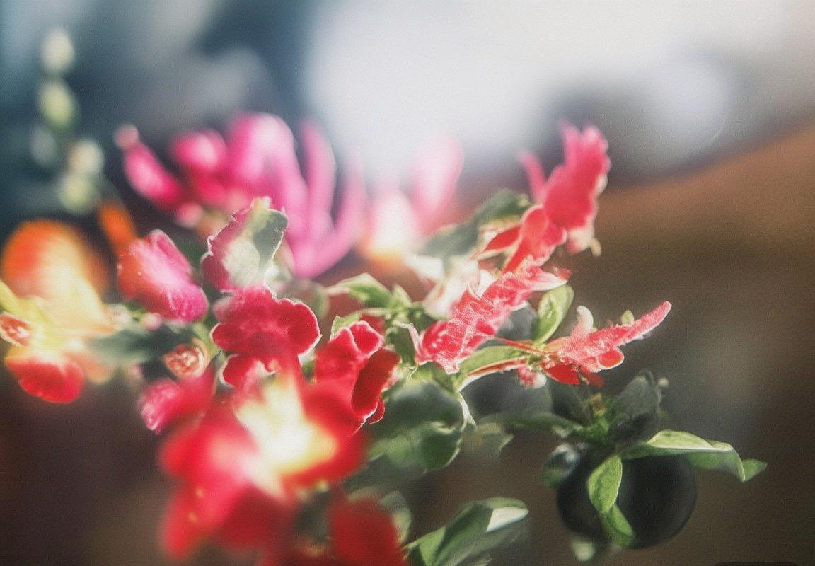 巴塞罗那VS比利亚雷亚尔：胜负之外，解析足球对决的深远影响